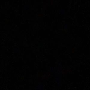 Meet your Posher, Abigail